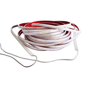 LED Stripes ab IP44 bei DZ Elektrotechnik GmbH in Stuttgart
